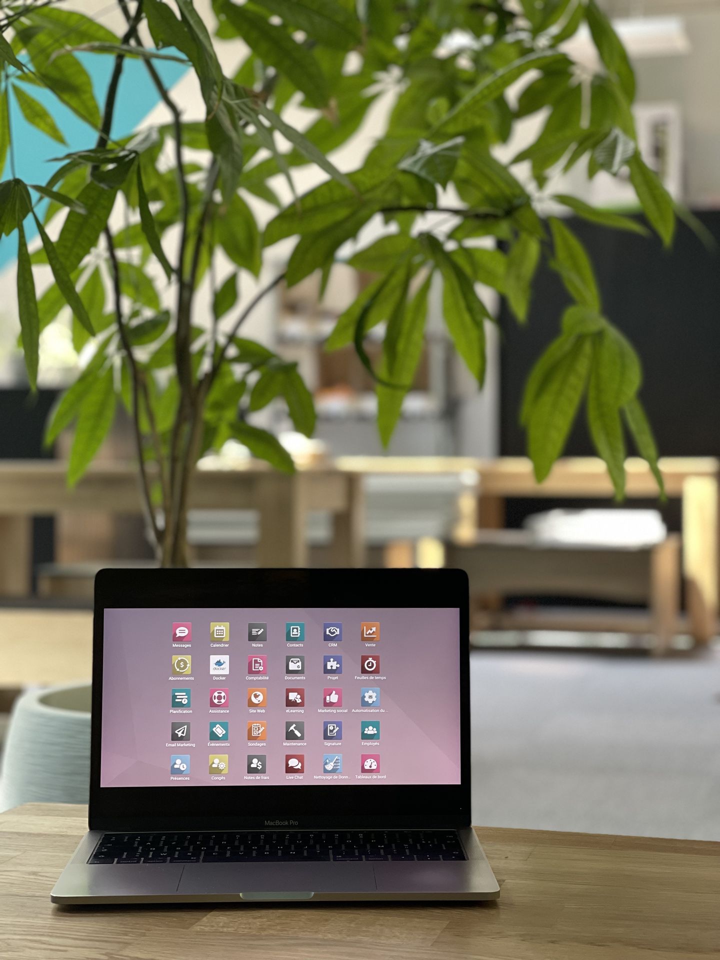 Intégrateur Odoo Intégrateur Odoo